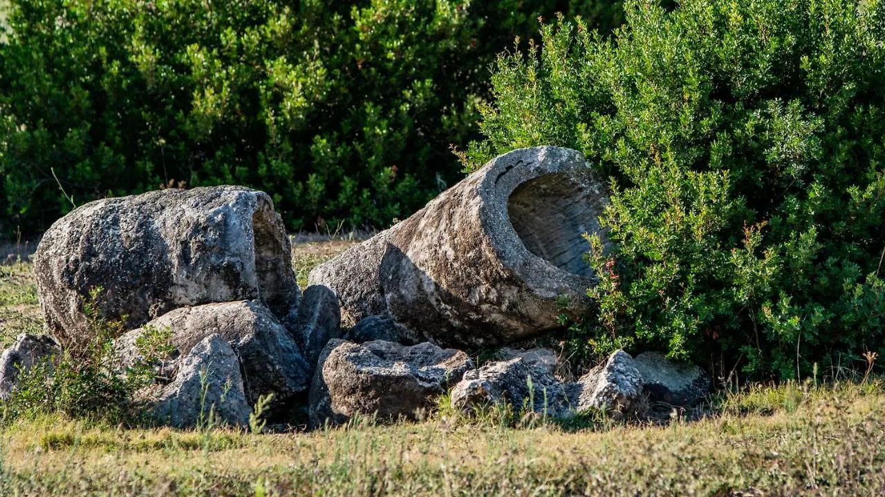 Agriturismo Carrucana Martis Agroturismo